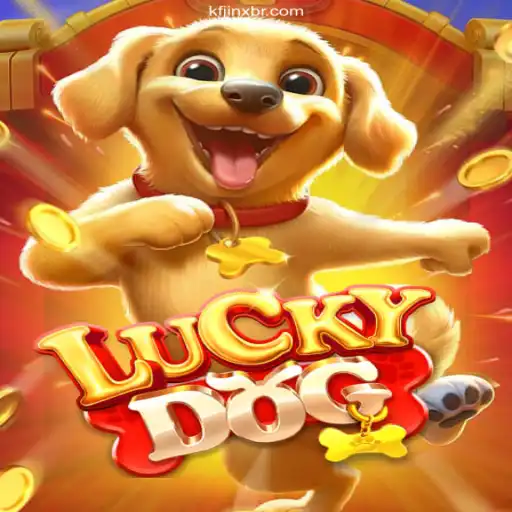 LuckyDog: The Thrilling Brazilian Betting Experience with kfjinx